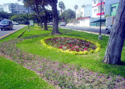 Cuadra 7 de la Av. Diez Canseco en mayo del presente año