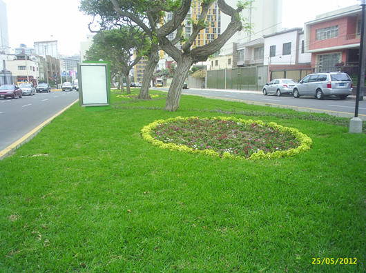 Cuadra 6 de la Av. Diez Canseco en mayo del presente año Cuadra 6 de la Av. Diez Canseco en mayo del presente año