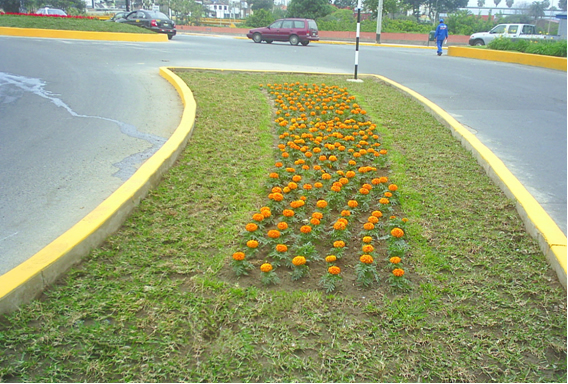 Nueva área verde en la Av. Armendáriz, al fondo a la izquierda apreciamos el nuevo Óvalo y, al lado derecho el triángulo. Nueva área verde en la Av. Armendáriz, al fondo a la izquierda apreciamos el nuevo Óvalo y, al lado derecho el triángulo.