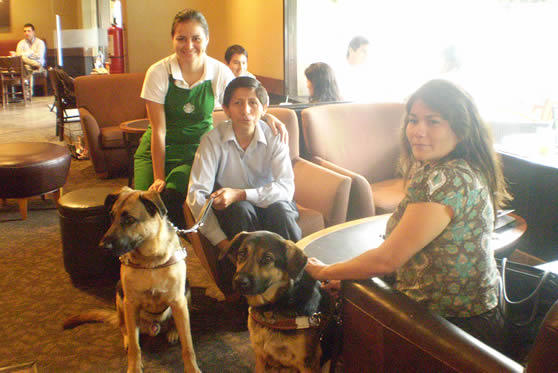 Personas ciegas junto a su perros guías pueden ingresar a todos los establecimientos del distrito. Personas ciegas junto a su perros guías pueden ingresar a todos los establecimientos del distrito.