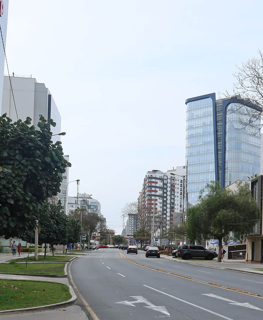 Avenida 28 de julio