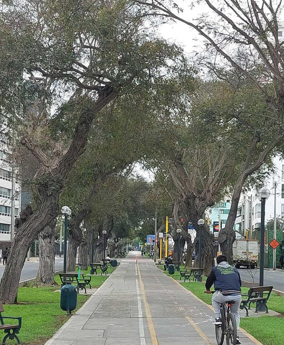 Avenida Arequipa