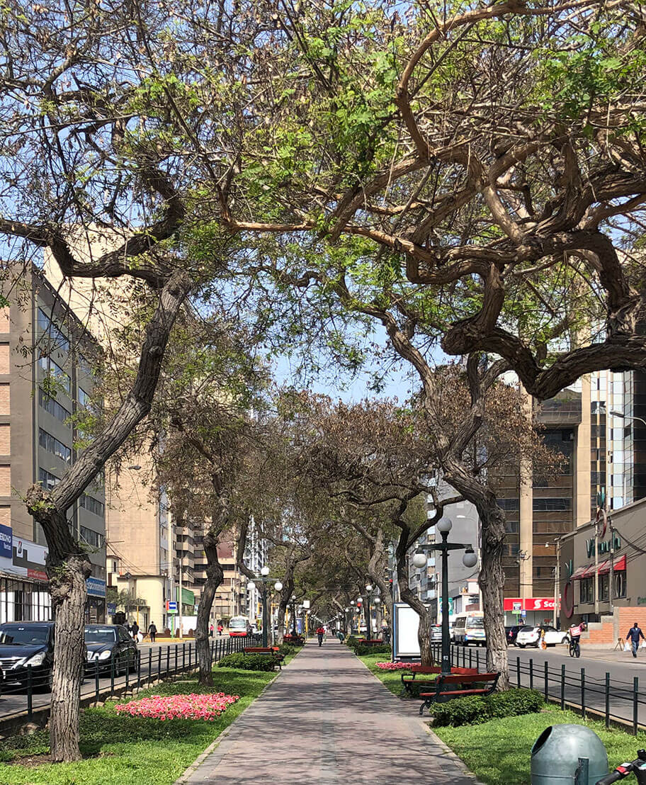 Avenida José Pardo