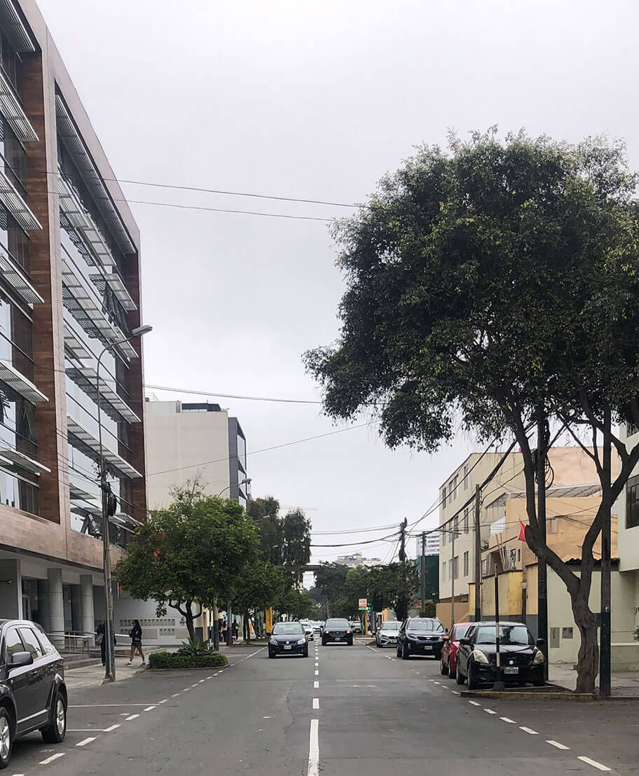 Avenida Mariscal La Mar