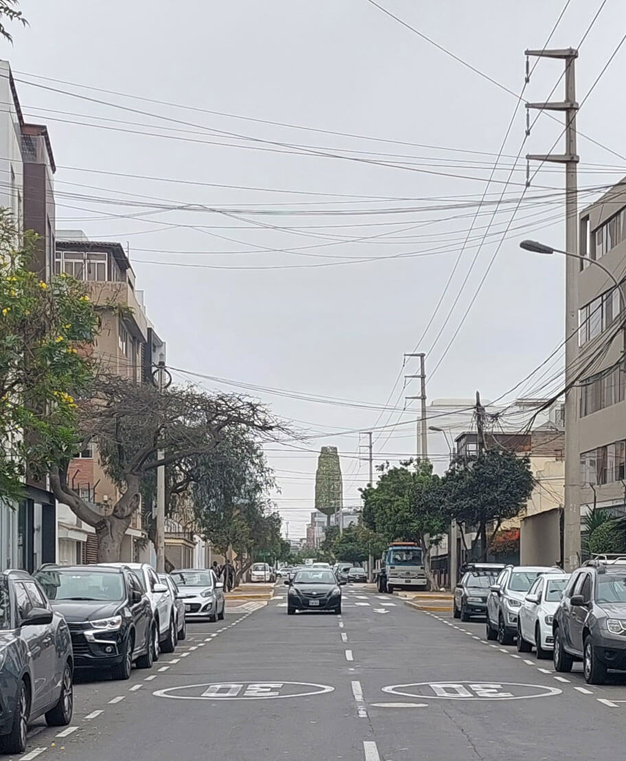 Calle Domingo Elías Carbajo