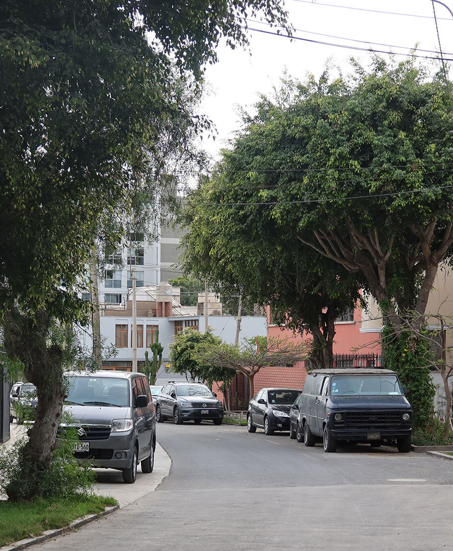 Calle Enrique del Campo