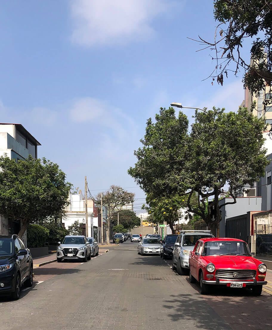 Calle F. de Paula Camino