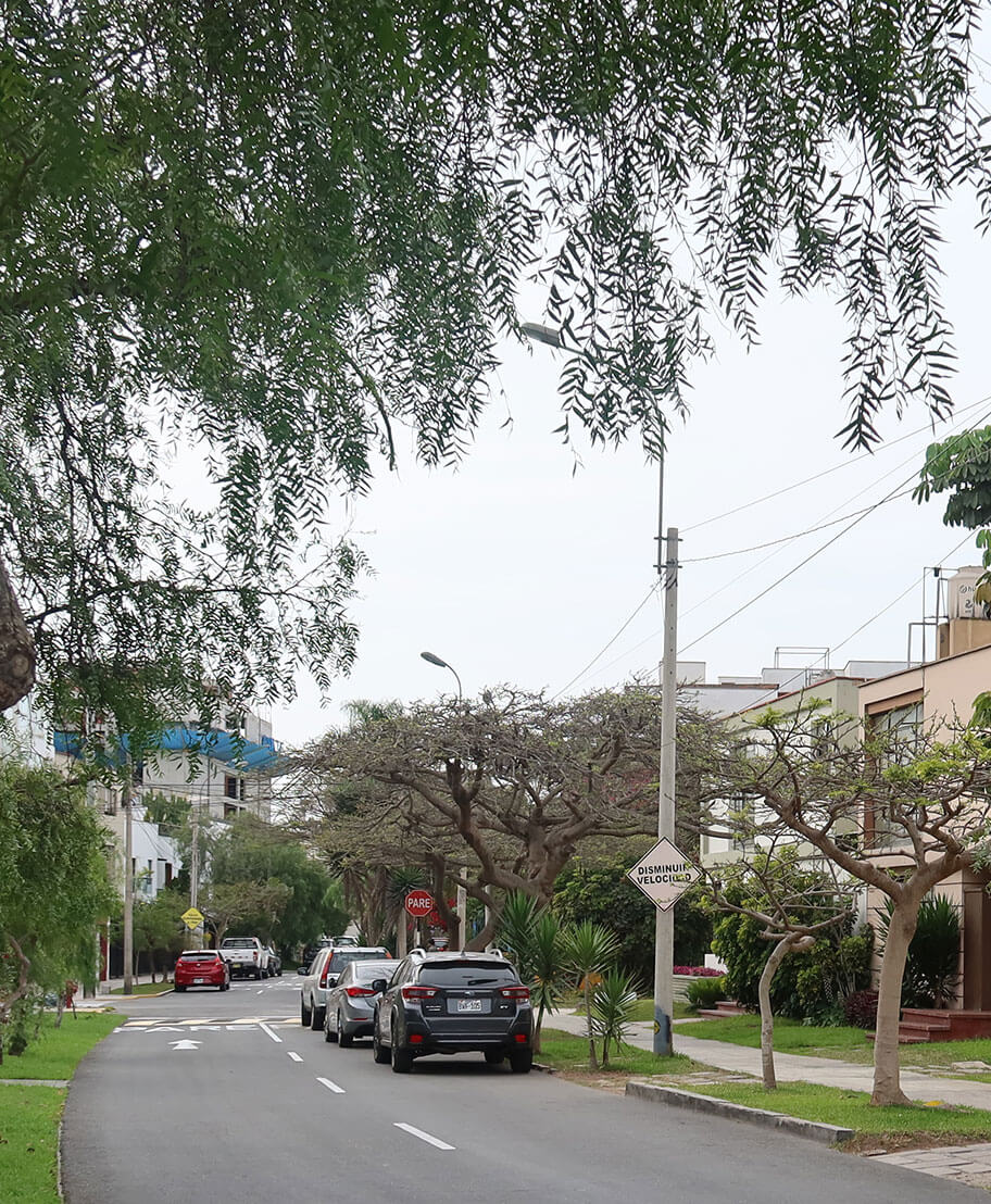 Calle General Pedro Silva