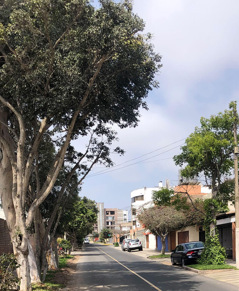 Calle Gustavo Escudero Otero