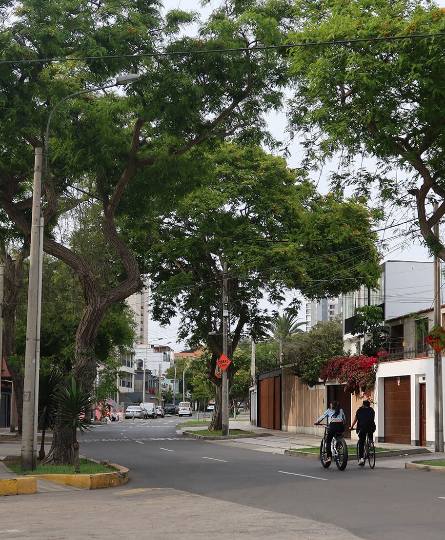 Calle Mariano Odicio