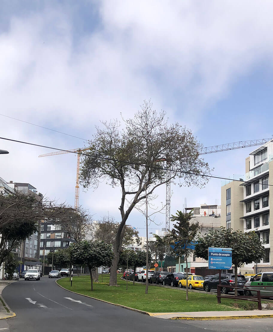 Calle Roca y Boloña