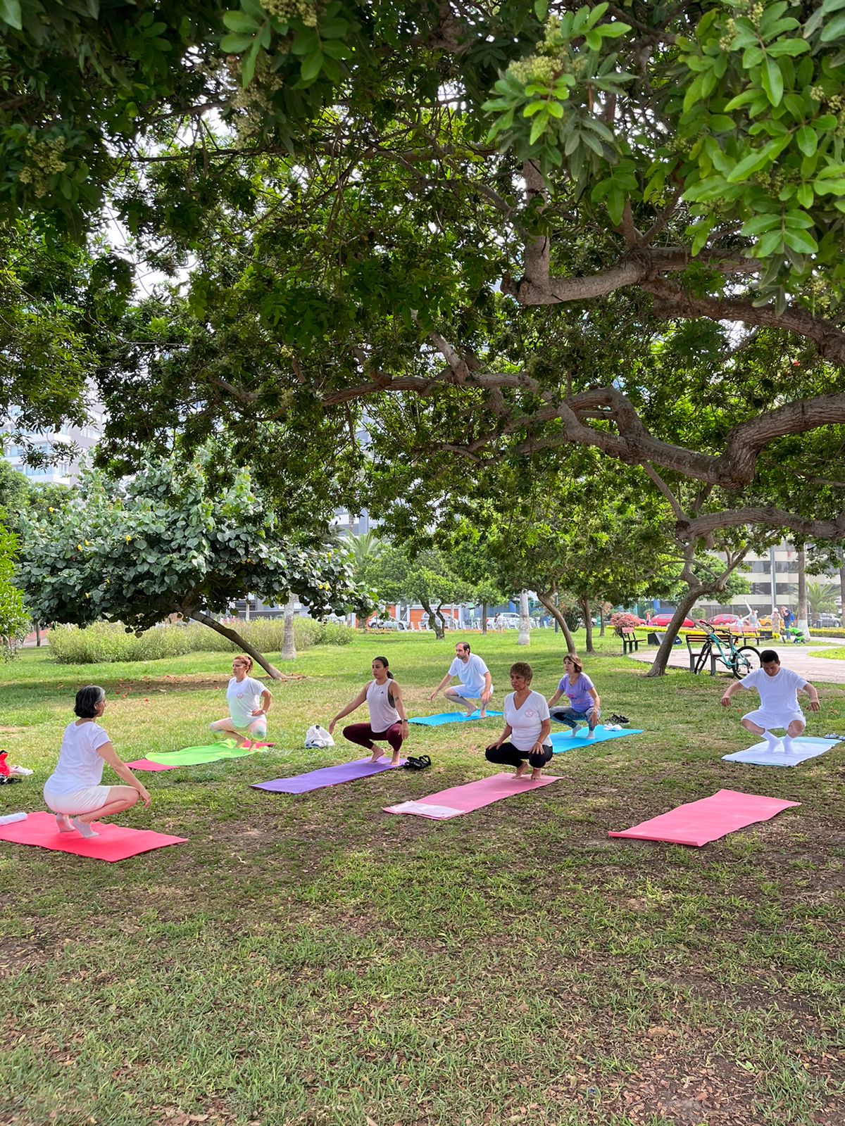 ¡Vuelve el yoga al aire libre en Miraflores! Municipalidad Distrital