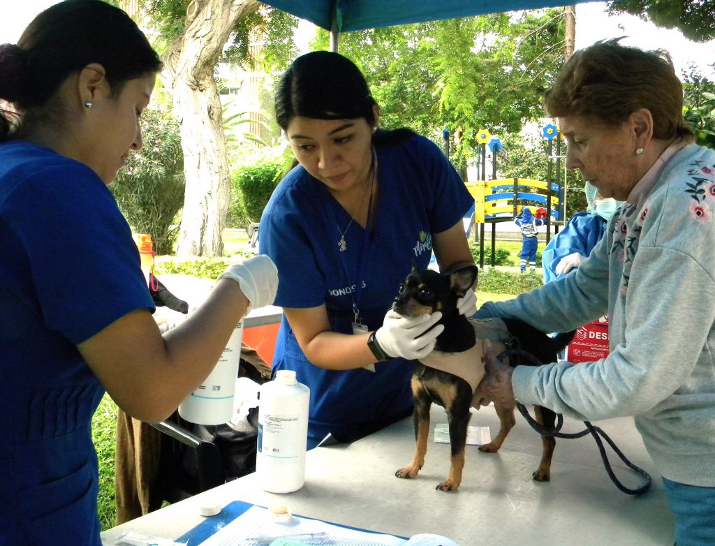 NOTICIA INAUGURACIÓN PARQUE CANINO EN MIRAFLORES 9 JULIO 2021 