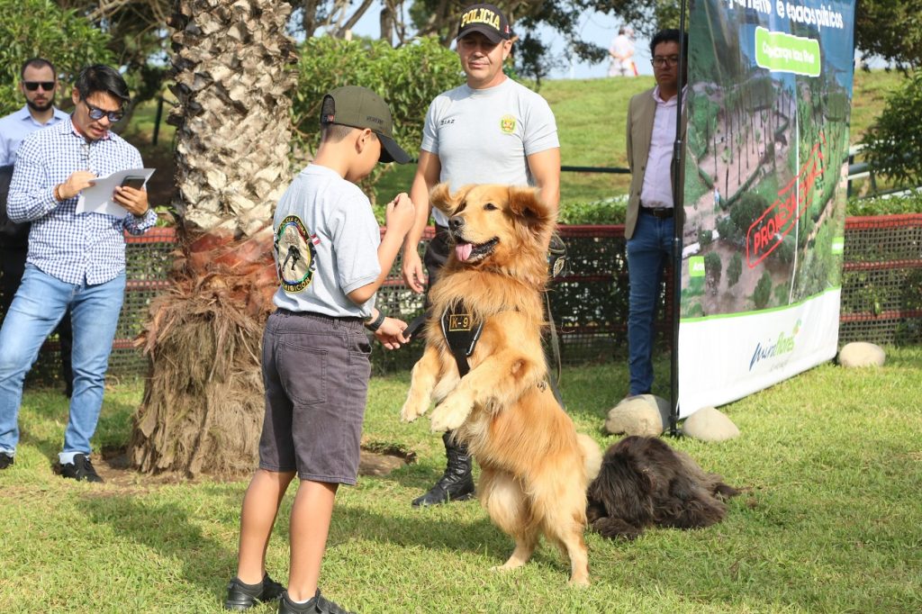 Municipalidad de Miraflores - Caniles más seguros: Hemos remodelado los  caniles de nuestros parques para brindarle más seguridad a las mascotas.  Podemos disfrutarlos en los parques Isaac Rabin, Clorinda Matto, Pablo  Arguedas