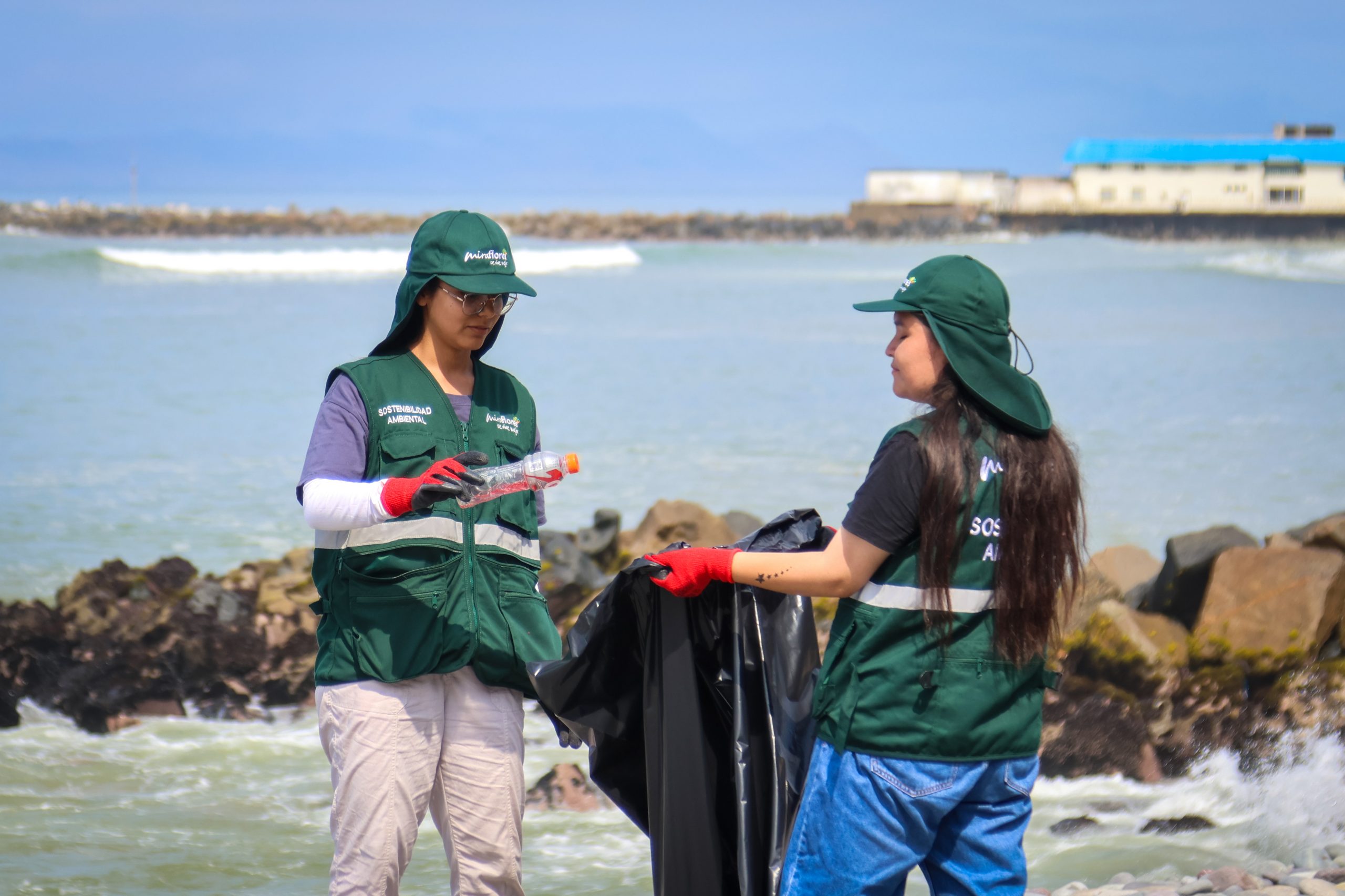 redondo limpieza 11.jpg