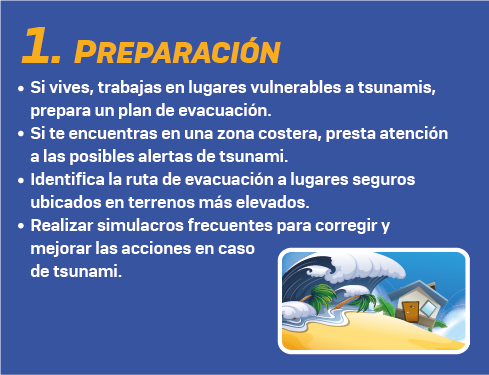 Que hacer en caso de tsunami